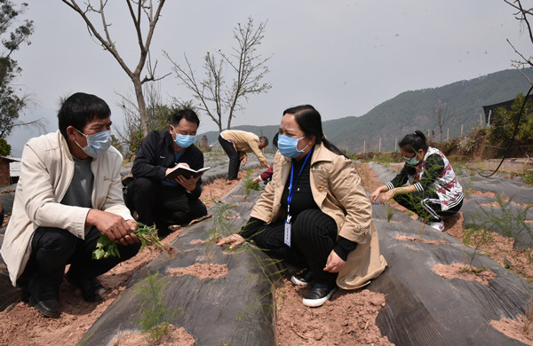 4_副本.jpg 4_副本.jpg