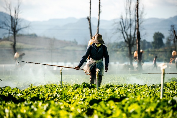文山丘北.jpg 文山丘北.jpg