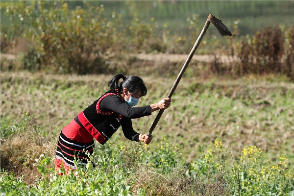 微信截圖_20200327153830.png 微信截圖_20200327153830.png