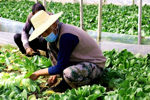 昆明宜良(尺寸:600X400).jpg 昆明宜良(尺寸:600X400).jpg