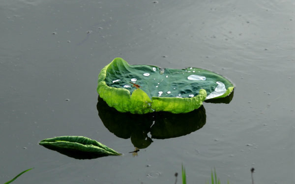 圖片1.png 圖片1.png