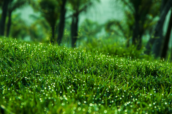 圖片4.png 圖片4.png