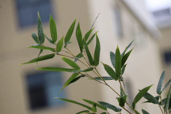 圖片2.png 圖片2.png