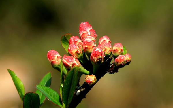 圖片3.png 圖片3.png