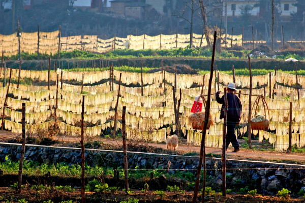 DSC_1761_副本_副本.jpg DSC_1761_副本_副本.jpg