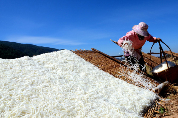 曬蘿卜絲 石屏農(nóng)科局徐文輝_副本.jpg 曬蘿卜絲 石屏農(nóng)科局徐文輝_副本.jpg