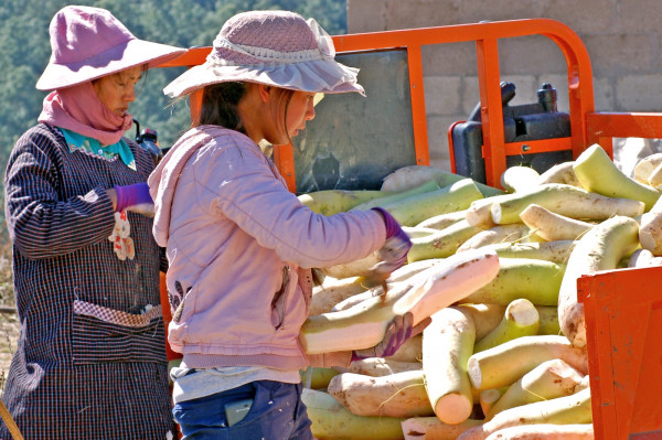 DSC_1660_副本.jpg DSC_1660_副本.jpg