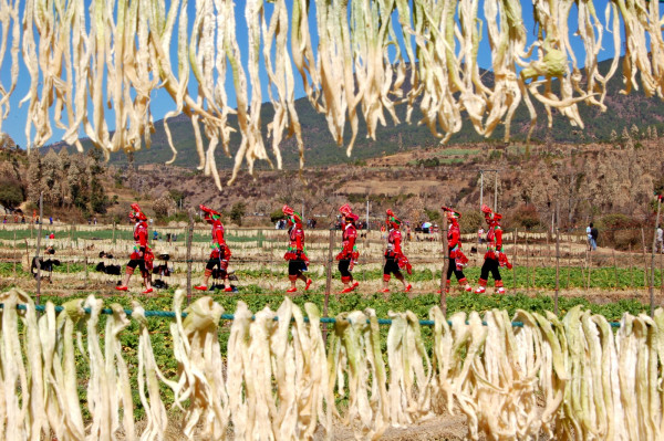 DSC_9133_副本.jpg DSC_9133_副本.jpg