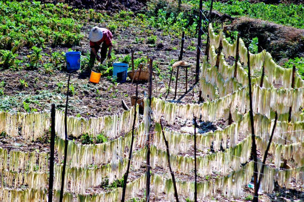 DSC_1631_副本.jpg DSC_1631_副本.jpg