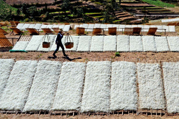 DSC_3253_副本.jpg DSC_3253_副本.jpg