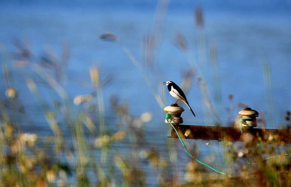 圖11(600).jpg 圖11(600).jpg