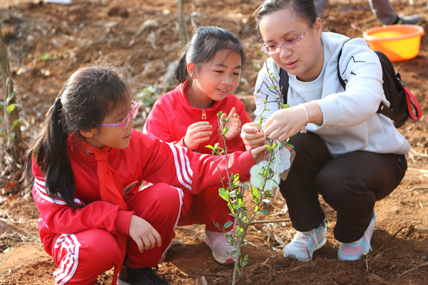 心語心愿.png 心語心愿.png