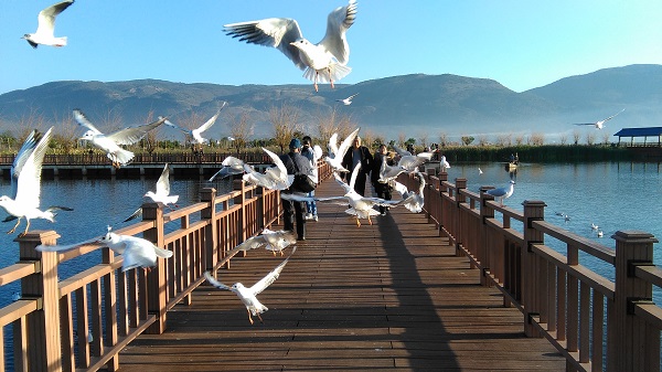 圖1:胡建偉 攝.jpg 圖1:胡建偉 攝.jpg