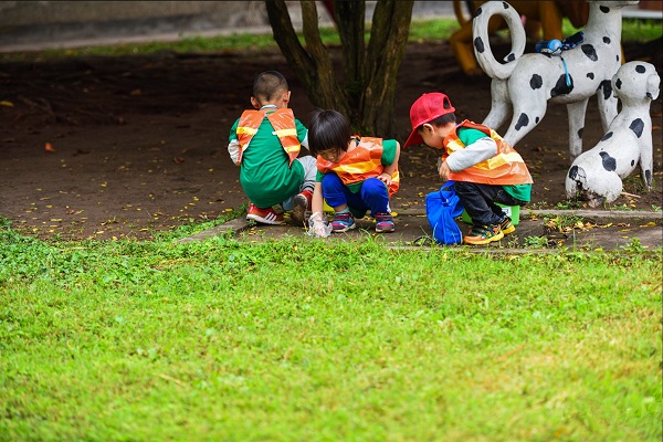 “花朵”化身“衛士”.jpg “花朵”化身“衛士”.jpg