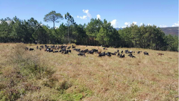 圖片3.png 圖片3.png