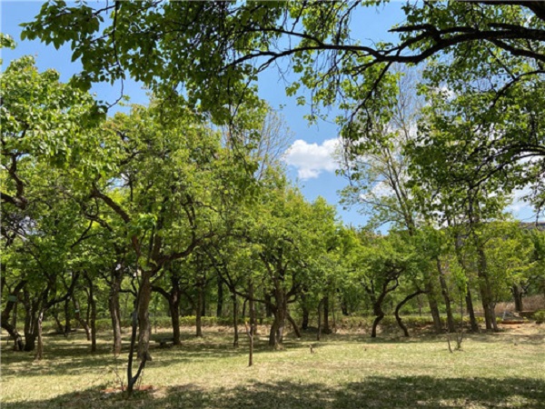 15878826968312742.jpg 15878826968312742.jpg