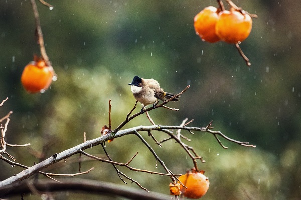 牟定.jpg 牟定.jpg