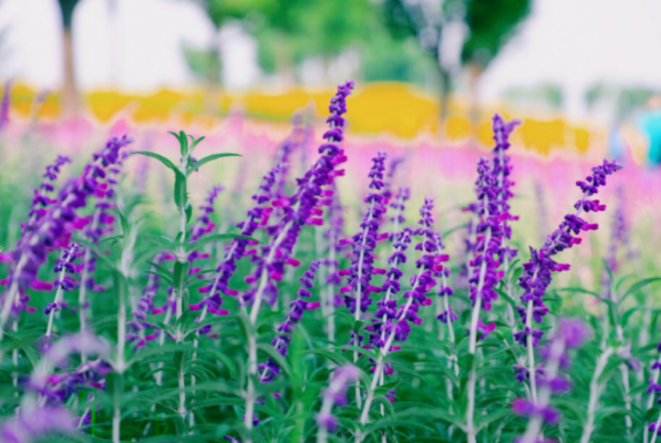 QQ截圖20200430172149.png QQ截圖20200430172149.png