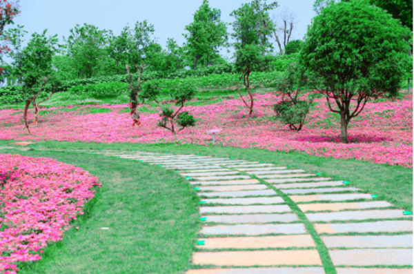 QQ截圖20200430172253.png QQ截圖20200430172253.png