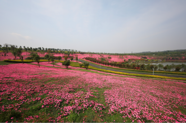 QQ截圖20200430171852.png QQ截圖20200430171852.png