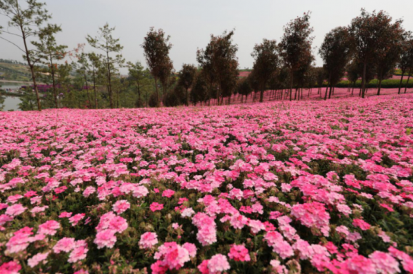 QQ截圖20200430172405.png QQ截圖20200430172405.png