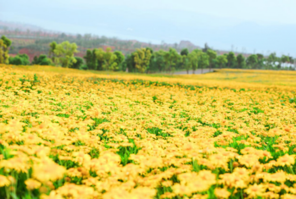 QQ截圖20200430172058.png QQ截圖20200430172058.png