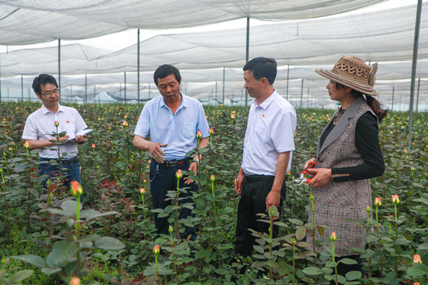 6_副本.jpg 6_副本.jpg