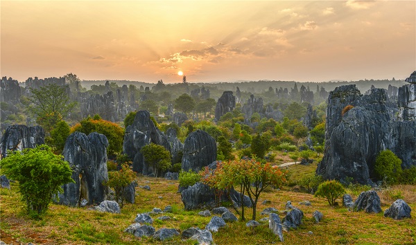 昆明石林.jpg 昆明石林.jpg