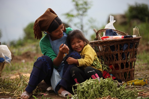 紅河金平.jpg 紅河金平.jpg