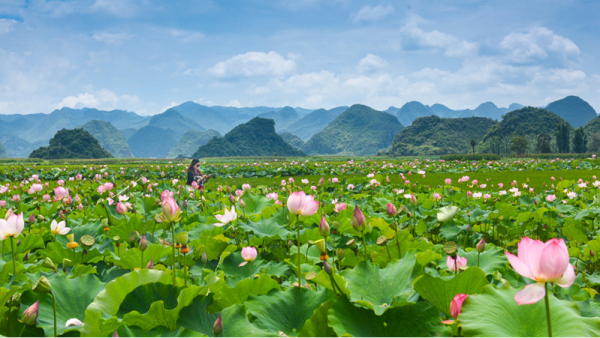 QQ截圖20200512165225.png QQ截圖20200512165225.png