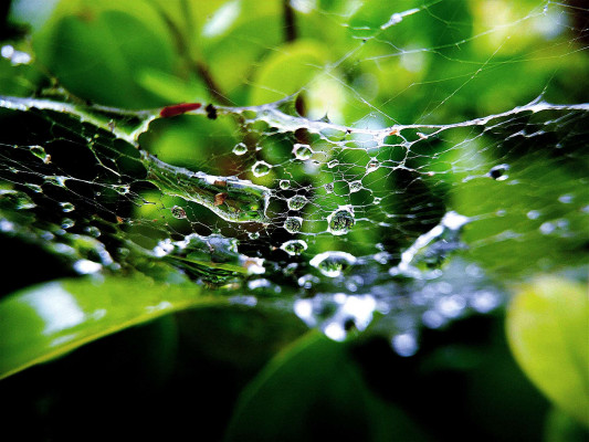 QQ圖片20200512164618.jpg QQ圖片20200512164618.jpg