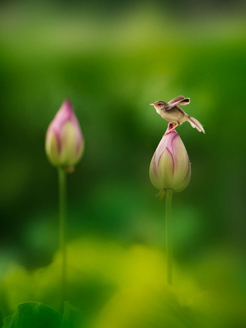 微信圖片_20200512165023.jpg 微信圖片_20200512165023.jpg