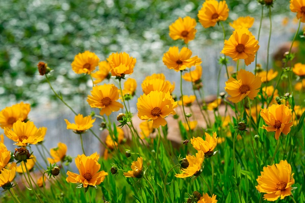 3182777_600x500.jpg 3182777_600x500.jpg