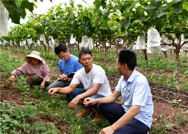 5雙柏縣紀委監委聚焦民生、營商環境等領域突出問題,組織紀檢監察干部深入一線,精準施治影響脫貧攻堅質效的各類腐敗和作風問題。圖為近日,該縣紀檢監察干部向大麥地鎮葡萄種植基地負責人了解有關情況。(雙柏縣紀委監委 劉余芳 攝影 聯系電話:18087882055).jpg 5雙柏縣紀委監委聚焦民生、營商環境等領域突出問題,組織紀檢監察干部深入一線,精準施治影響脫貧攻堅質效的各類腐敗和作風問題。圖為近日,該縣紀檢監察干部向大麥地鎮葡萄種植基地負責人了解有關情況。(雙柏縣紀委監委 劉余芳 攝影 聯系電話:18087882055).jpg