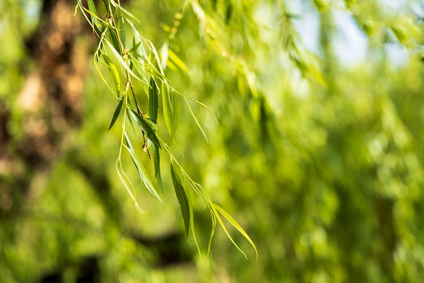 昆明五華.jpg 昆明五華.jpg