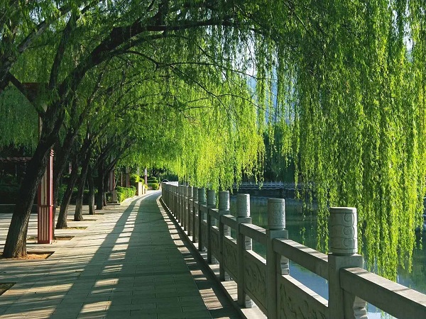 麗江華坪.jpg 麗江華坪.jpg