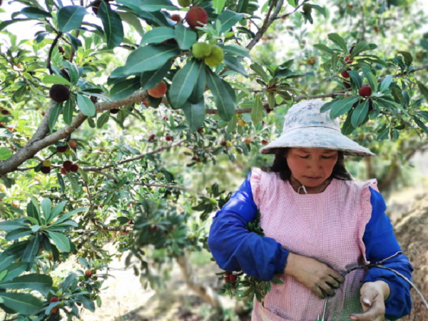 1589512195.png 1589512195.png