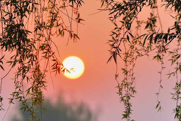 保山昌寧.jpg 保山昌寧.jpg