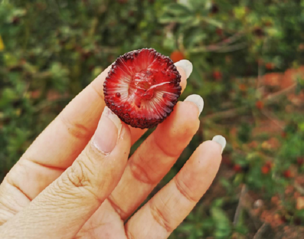 1589513271.png 1589513271.png