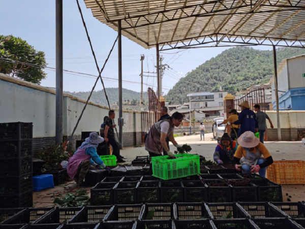 1589513187.png 1589513187.png