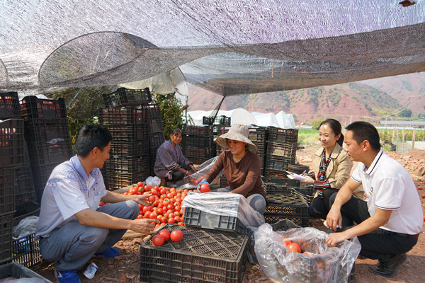 2_副本.jpg 2_副本.jpg