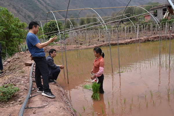 5_副本.jpg 5_副本.jpg