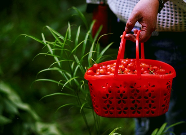 昭通鎮(zhèn)雄.jpg 昭通鎮(zhèn)雄.jpg