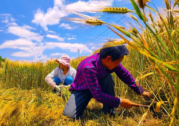 保山施甸.jpg 保山施甸.jpg