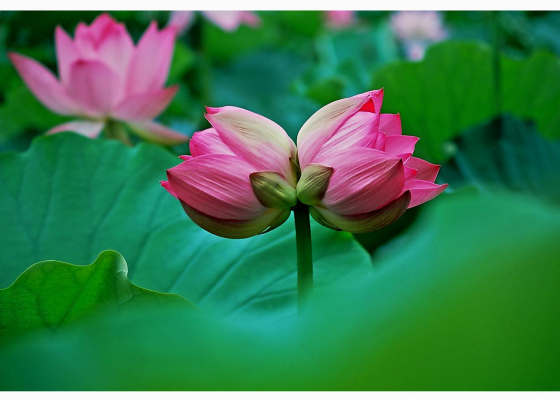 圖片7.png 圖片7.png