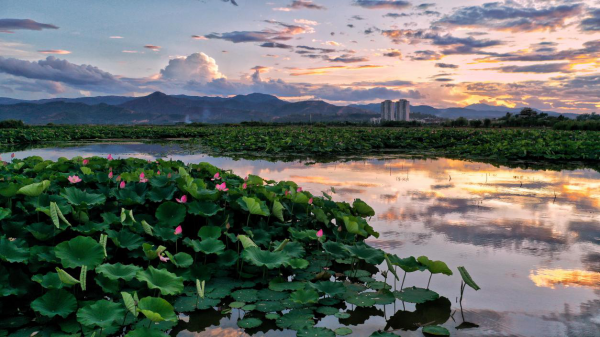 圖片6.png 圖片6.png