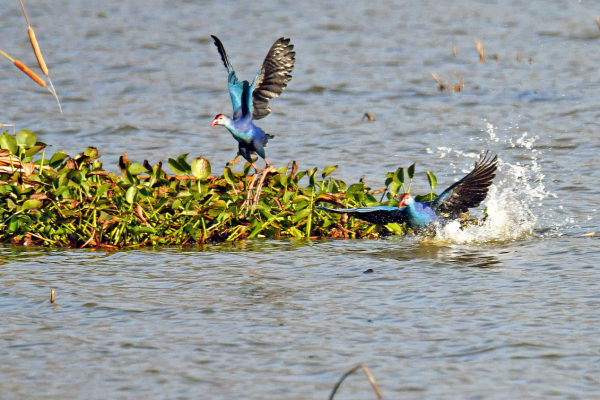 圖片8.png 圖片8.png