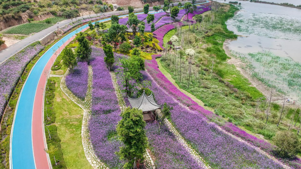 圖片12.png 圖片12.png