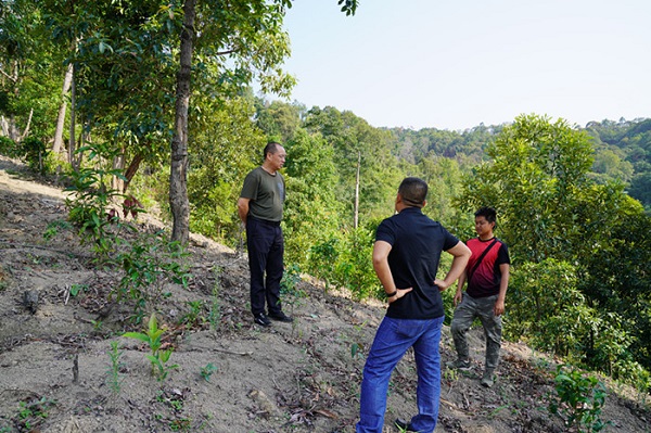 6372634382179486122132405.jpg 6372634382179486122132405.jpg