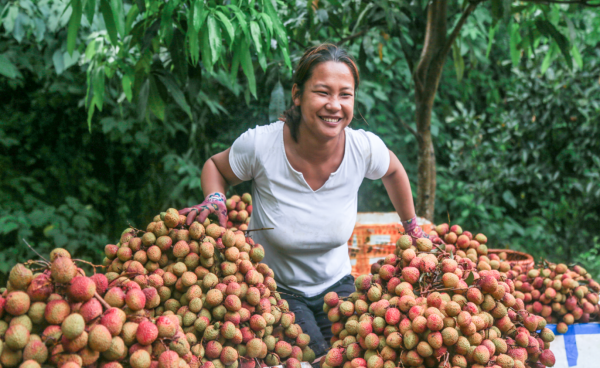 圖片7.png 圖片7.png